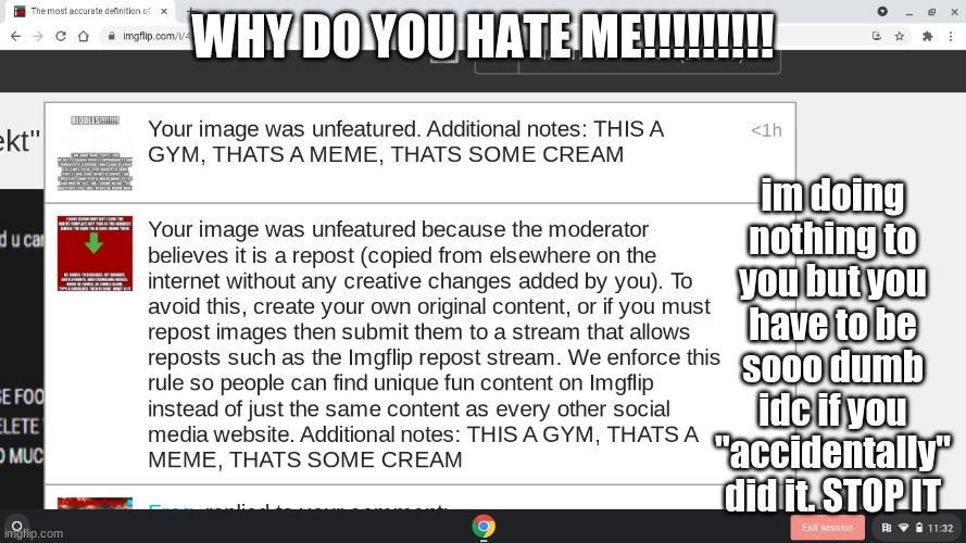 I SWEAR TO GOD STOP TROLLING! I HATE IT | im doing nothing to you but you have to be sooo dumb idc if you "accidentally" did it. STOP IT; WHY DO YOU HATE ME!!!!!!!!! | image tagged in stop | made w/ Imgflip meme maker