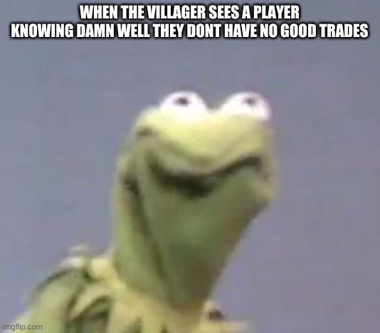 Kermit the frog | WHEN THE VILLAGER SEES A PLAYER KNOWING DAMN WELL THEY DONT HAVE NO GOOD TRADES | image tagged in kermit the frog | made w/ Imgflip meme maker