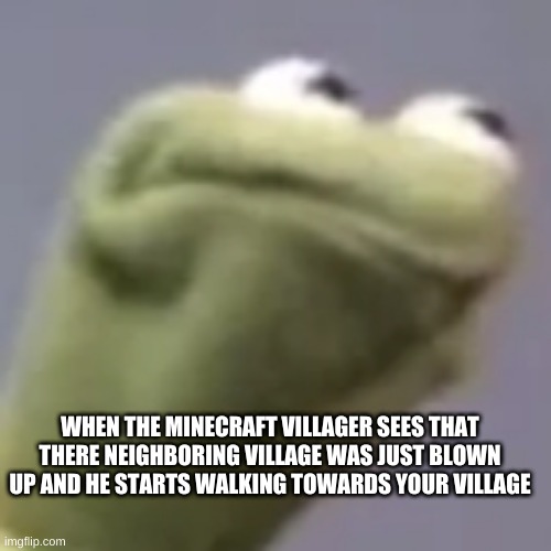 Hmmm kermit | WHEN THE MINECRAFT VILLAGER SEES THAT THERE NEIGHBORING VILLAGE WAS JUST BLOWN UP AND HE STARTS WALKING TOWARDS YOUR VILLAGE | image tagged in hmmm kermit | made w/ Imgflip meme maker