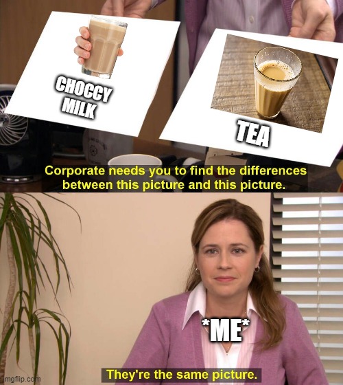At first I really thought that lol | CHOCCY MILK; TEA; *ME* | image tagged in they are the same picture | made w/ Imgflip meme maker