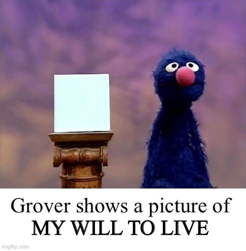 Grover: Who Asked | MY WILL TO LIVE | image tagged in grover who asked | made w/ Imgflip meme maker