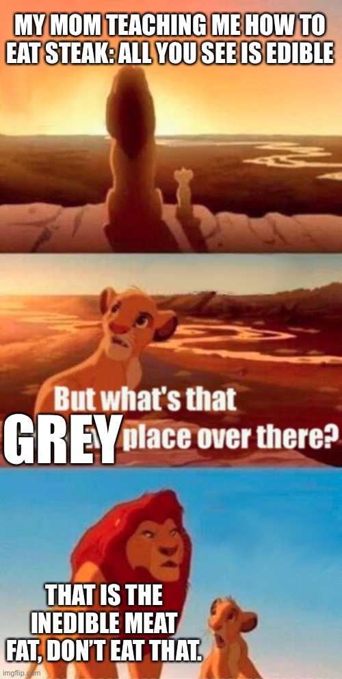 Eating steak | MY MOM TEACHING ME HOW TO EAT STEAK: ALL YOU SEE IS EDIBLE; GREY; THAT IS THE INEDIBLE MEAT FAT, DON’T EAT THAT. | image tagged in memes,simba shadowy place | made w/ Imgflip meme maker