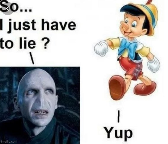 Credits for the meme go to Noni Zk Fritze on Pintrest | image tagged in harry potter | made w/ Imgflip meme maker