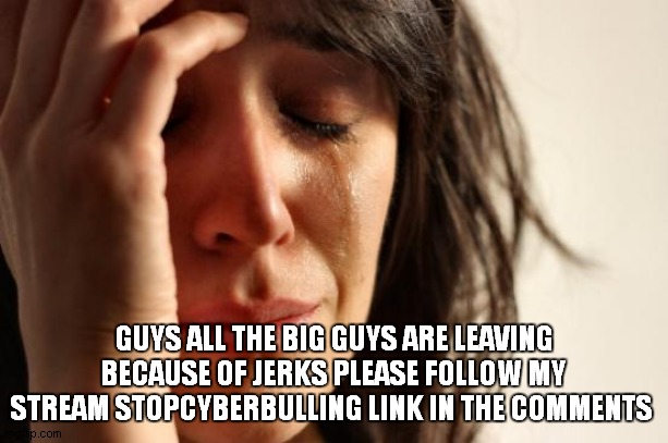 First World Problems Meme | GUYS ALL THE BIG GUYS ARE LEAVING BECAUSE OF JERKS PLEASE FOLLOW MY STREAM STOPCYBERBULLING LINK IN THE COMMENTS | image tagged in memes,first world problems | made w/ Imgflip meme maker