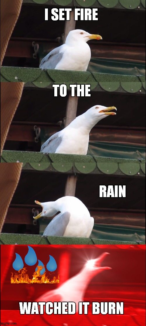 Inhaling Seagull Meme | I SET FIRE; TO THE; RAIN; WATCHED IT BURN | image tagged in memes,inhaling seagull | made w/ Imgflip meme maker