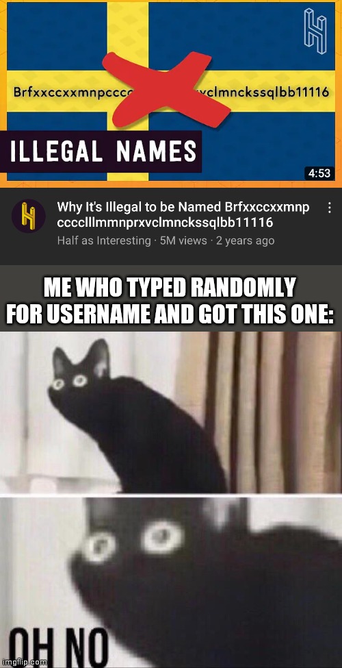 Uhhhh | ME WHO TYPED RANDOMLY FOR USERNAME AND GOT THIS ONE: | image tagged in oh no cat | made w/ Imgflip meme maker