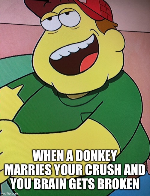 Brain Breaks | WHEN A DONKEY MARRIES YOUR CRUSH AND YOU BRAIN GETS BROKEN | image tagged in what | made w/ Imgflip meme maker