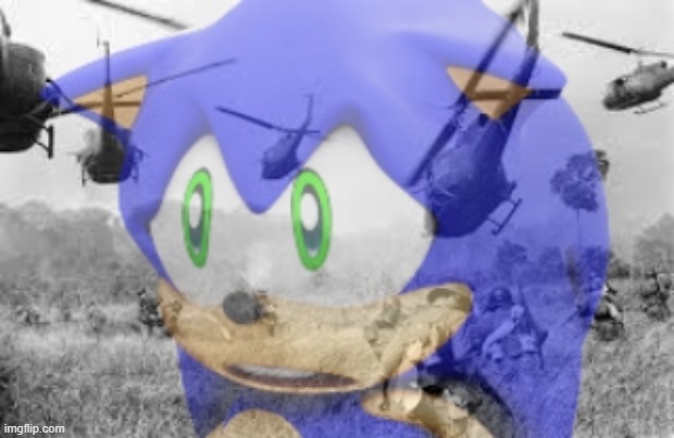 Sonic veitnam war | image tagged in sonic veitnam war | made w/ Imgflip meme maker