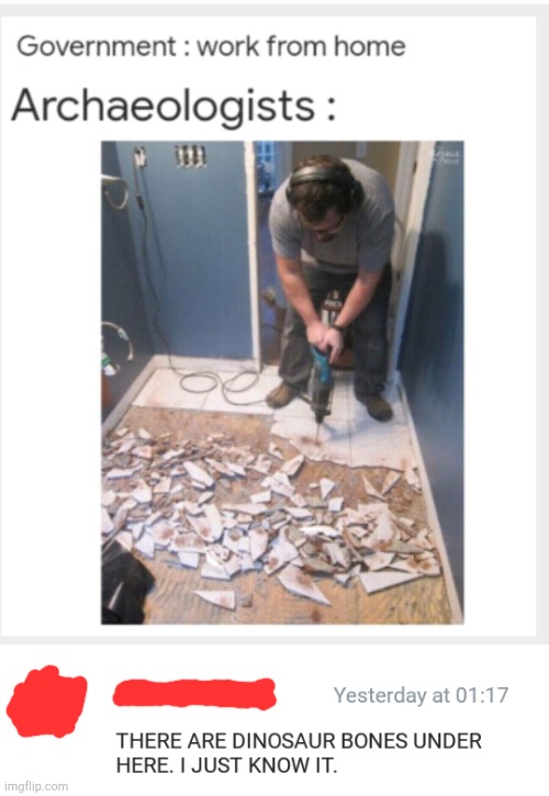 working at home | image tagged in working from home,cursed comments | made w/ Imgflip meme maker