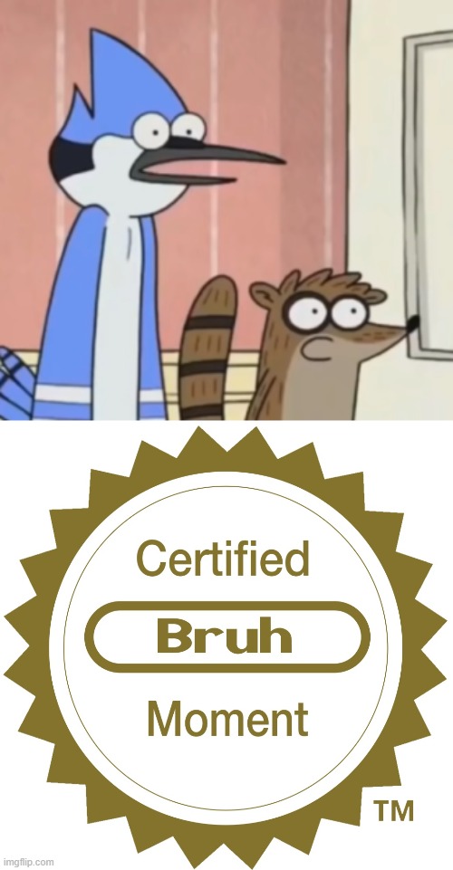 image tagged in joe mama mordecai and rigby,certified bruh moment | made w/ Imgflip meme maker