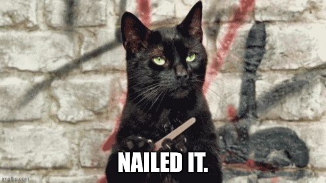 cat filing nails | NAILED IT. | image tagged in cat filing nails | made w/ Imgflip meme maker