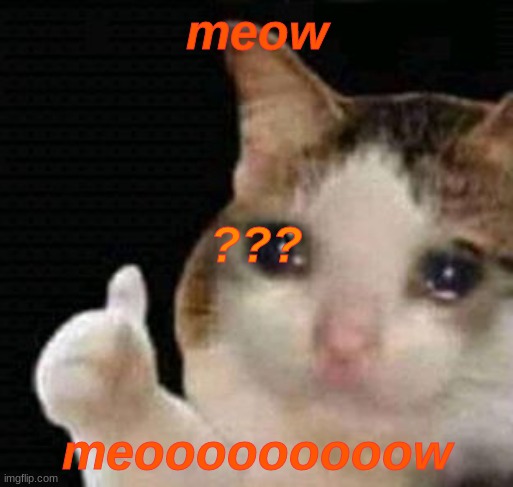meow | meow; ??? meooooooooow | image tagged in sad thumbs up cat,meow | made w/ Imgflip meme maker