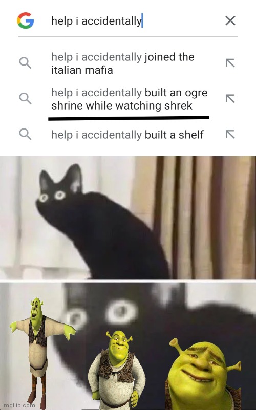 Oh No Black Cat | image tagged in oh no black cat,shrek,oh no | made w/ Imgflip meme maker