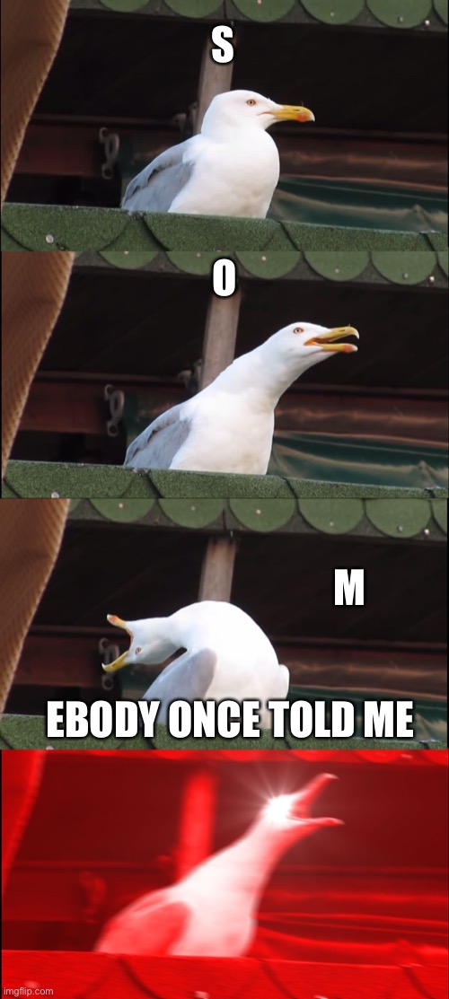 Inhaling Seagull Meme | S; O; M; EBODY ONCE TOLD ME | image tagged in memes | made w/ Imgflip meme maker