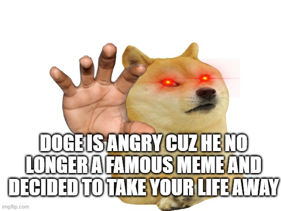 Blank White Template | DOGE IS ANGRY CUZ HE NO LONGER A FAMOUS MEME AND DECIDED TO TAKE YOUR LIFE AWAY | image tagged in blank white template | made w/ Imgflip meme maker