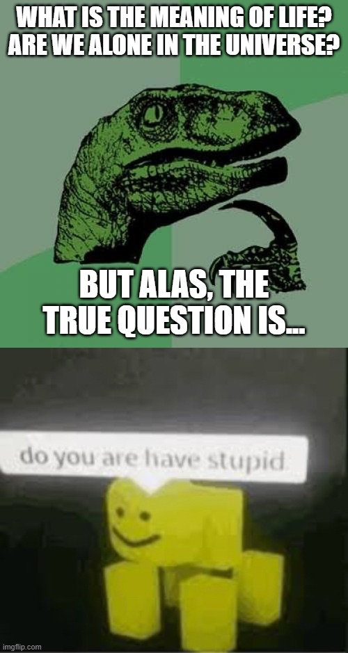 lolololololololololololololololololol | WHAT IS THE MEANING OF LIFE? ARE WE ALONE IN THE UNIVERSE? BUT ALAS, THE TRUE QUESTION IS... | image tagged in memes,philosoraptor,do you are have stupid,p-p-p-pink sheep | made w/ Imgflip meme maker