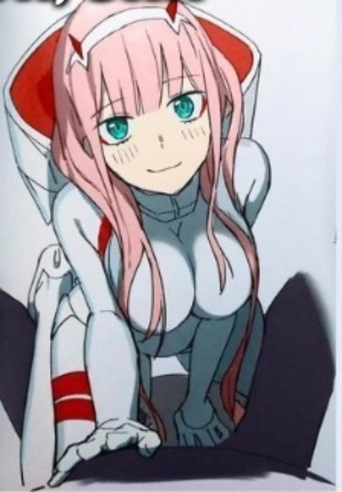 Zero two Blank Meme Template