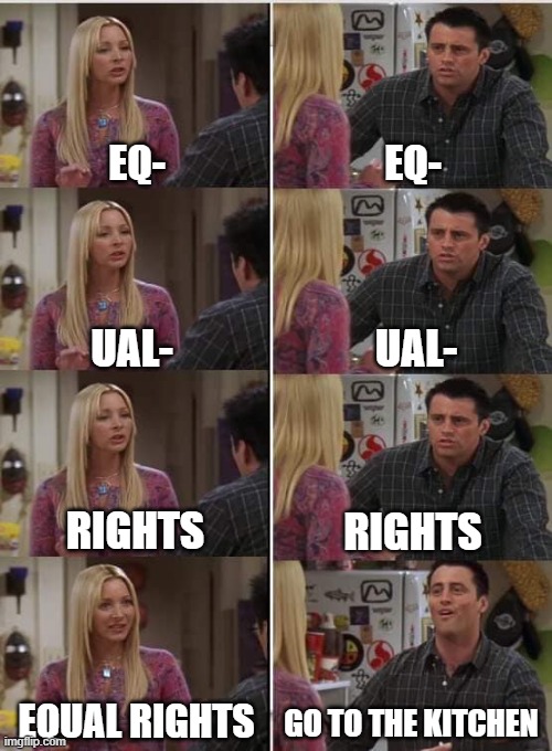 just a joke.... | EQ-; EQ-; UAL-; UAL-; RIGHTS; RIGHTS; EQUAL RIGHTS; GO TO THE KITCHEN | image tagged in phoebe joey | made w/ Imgflip meme maker