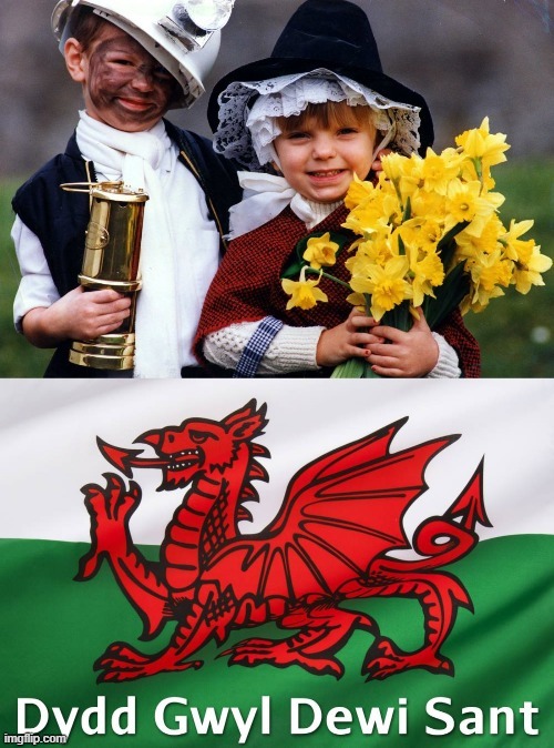 St. David`s Day Mar 1st 2021 | image tagged in wales | made w/ Imgflip meme maker