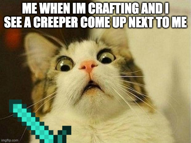 Scared Cat Meme | ME WHEN IM CRAFTING AND I SEE A CREEPER COME UP NEXT TO ME | image tagged in memes,scared cat | made w/ Imgflip meme maker