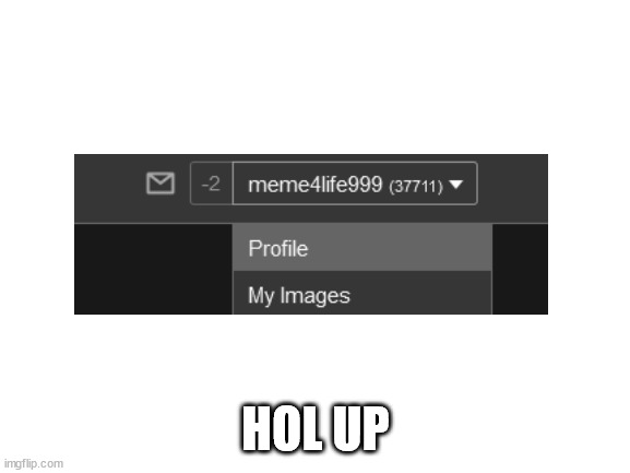 Blank White Template | HOL UP | image tagged in blank white template | made w/ Imgflip meme maker