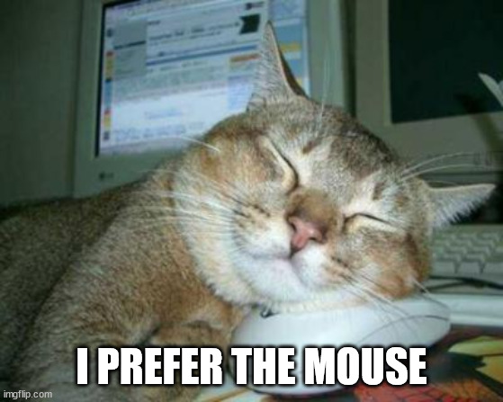 Sleepy Cat | I PREFER THE MOUSE | image tagged in sleepy cat | made w/ Imgflip meme maker