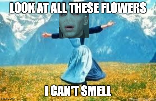 Look At All These |  LOOK AT ALL THESE FLOWERS; I CAN'T SMELL | image tagged in memes,look at all these,voldemort,harry potter | made w/ Imgflip meme maker