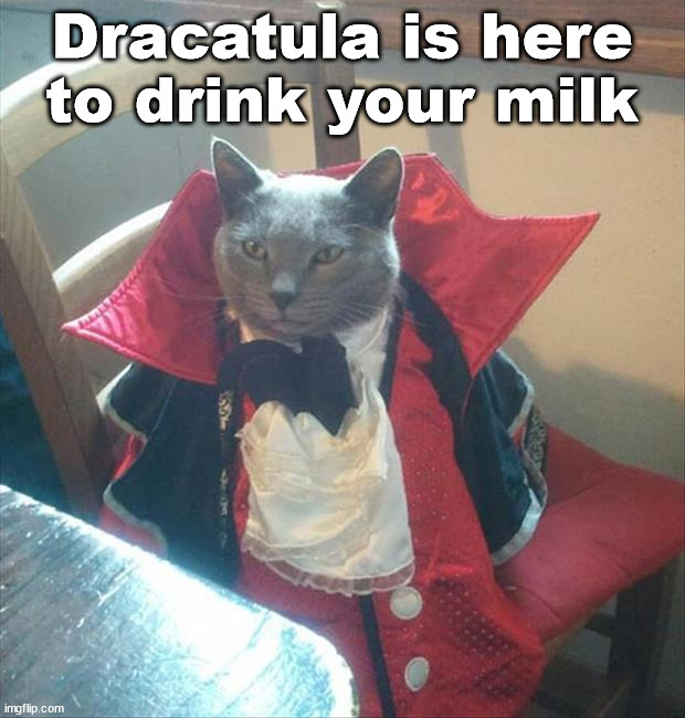 Dracatula is here to drink your milk | image tagged in cats | made w/ Imgflip meme maker