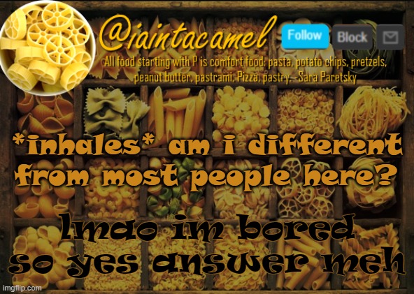 iaintacamel | *inhales* am i different from most people here? lmao im bored so yes answer meh | image tagged in iaintacamel | made w/ Imgflip meme maker