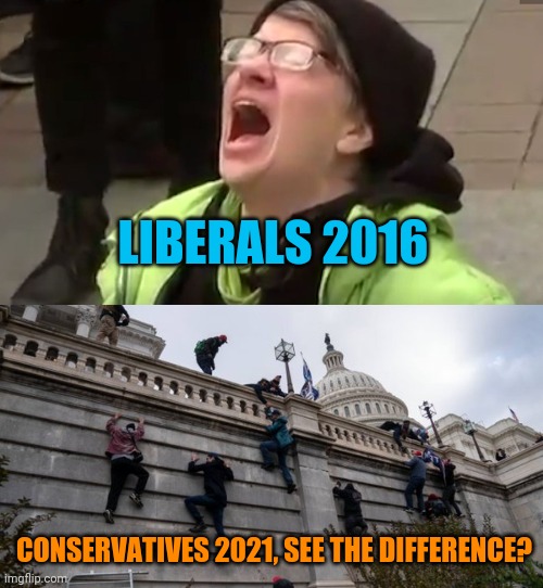 LIBERALS 2016; CONSERVATIVES 2021, SEE THE DIFFERENCE? | image tagged in screaming liberal,capitol riot | made w/ Imgflip meme maker