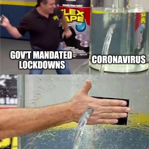 Lockdown fail | CORONAVIRUS; GOV'T MANDATED 
LOCKDOWNS | image tagged in coronavirus,lockdown | made w/ Imgflip meme maker