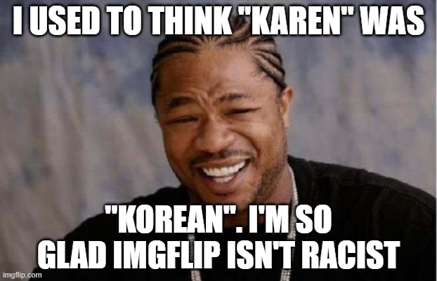 Yo Dawg Heard You Meme | I USED TO THINK "KAREN" WAS; "KOREAN". I'M SO GLAD IMGFLIP ISN'T RACIST | image tagged in memes,yo dawg heard you | made w/ Imgflip meme maker