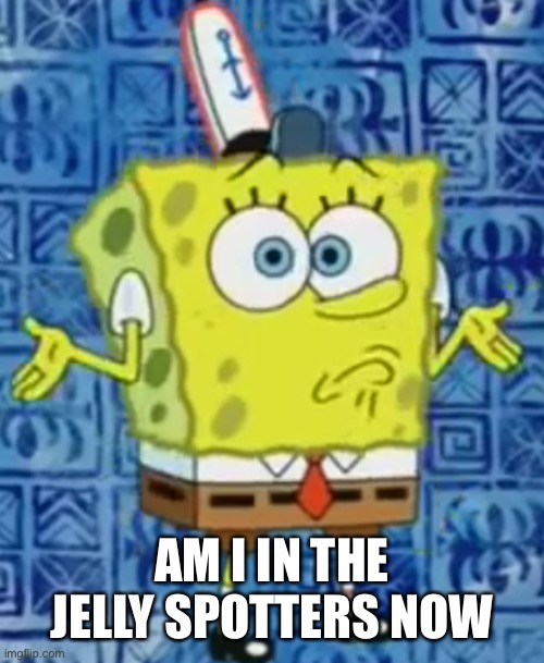 SpongeBob shrug | AM I IN THE JELLY SPOTTERS NOW | image tagged in spongebob shrug | made w/ Imgflip meme maker