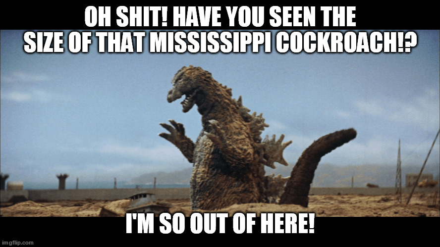 Mississippi Cockroach Scares Godzilla | OH SHIT! HAVE YOU SEEN THE SIZE OF THAT MISSISSIPPI COCKROACH!? I'M SO OUT OF HERE! | image tagged in mississippi,cockroaches | made w/ Imgflip meme maker