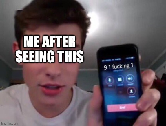 91 fricking 1 | ME AFTER SEEING THIS | image tagged in 91 fricking 1 | made w/ Imgflip meme maker