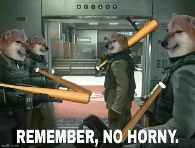 No Horny | image tagged in no horny | made w/ Imgflip meme maker