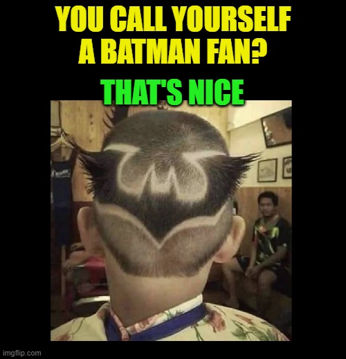 not just a fan | YOU CALL YOURSELF
A BATMAN FAN? THAT'S NICE | image tagged in batman,fans,obsessed,bad haircut,comics,dc comics | made w/ Imgflip meme maker