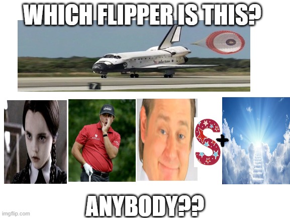 Warning: not for the easily defeated | WHICH FLIPPER IS THIS? ANYBODY?? | image tagged in blank white template,puzzle for the day | made w/ Imgflip meme maker