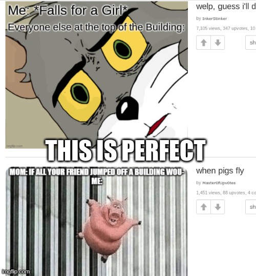 this is perfect | THIS IS PERFECT | image tagged in funny | made w/ Imgflip meme maker