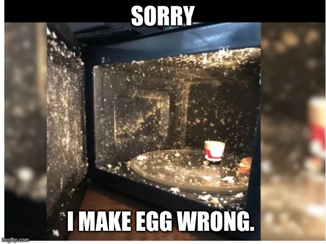 .... | SORRY; I MAKE EGG WRONG. | image tagged in memes | made w/ Imgflip meme maker