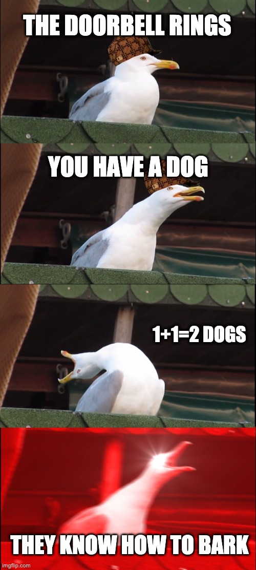 Inhaling Seagull | THE DOORBELL RINGS; YOU HAVE A DOG; 1+1=2 DOGS; THEY KNOW HOW TO BARK | image tagged in memes,inhaling seagull | made w/ Imgflip meme maker