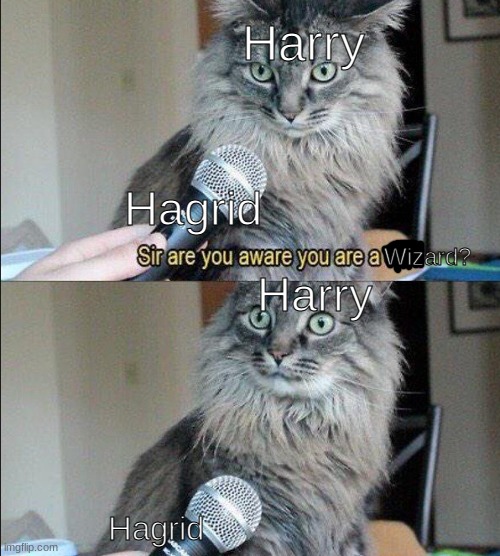 :0 | Harry; Hagrid; Wizard? Harry; Hagrid | image tagged in harry potter,you're a wizard harry,vine,shook,woah | made w/ Imgflip meme maker