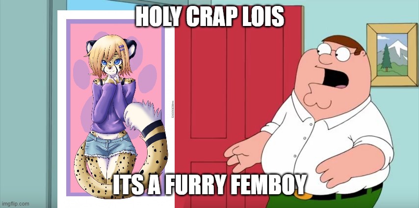 I like this template- | HOLY CRAP LOIS; ITS A FURRY FEMBOY | image tagged in holy crap lois its x | made w/ Imgflip meme maker