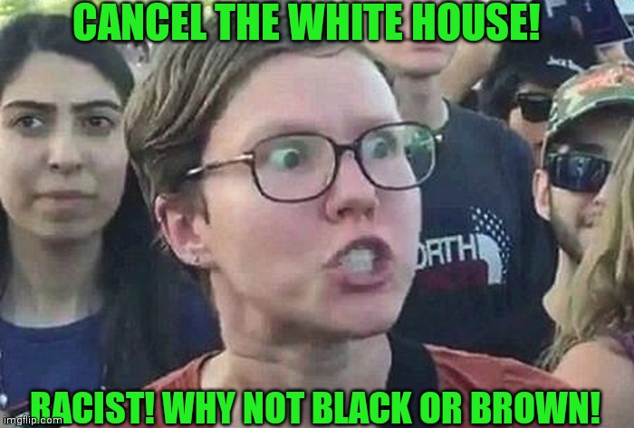 Liberal nutso | CANCEL THE WHITE HOUSE! RACIST! WHY NOT BLACK OR BROWN! | image tagged in triggered liberal,racism | made w/ Imgflip meme maker