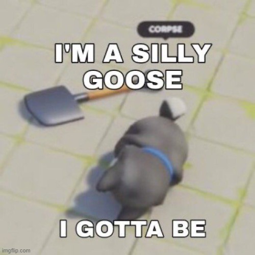 silly goose | image tagged in silly goose | made w/ Imgflip meme maker