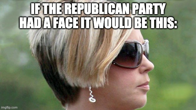 Karen | IF THE REPUBLICAN PARTY HAD A FACE IT WOULD BE THIS: | image tagged in karen | made w/ Imgflip meme maker