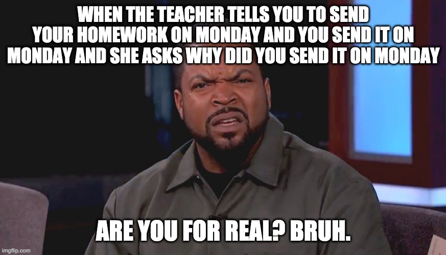 Really? Ice Cube | WHEN THE TEACHER TELLS YOU TO SEND YOUR HOMEWORK ON MONDAY AND YOU SEND IT ON MONDAY AND SHE ASKS WHY DID YOU SEND IT ON MONDAY; ARE YOU FOR REAL? BRUH. | image tagged in really ice cube | made w/ Imgflip meme maker
