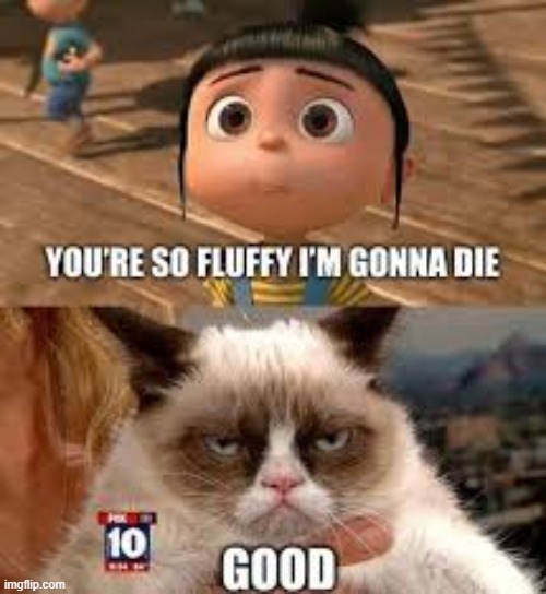 heh | image tagged in grumpy cat,cats,cat,despicable me,funny,funny memes | made w/ Imgflip meme maker