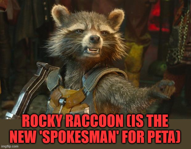 Rocket Raccoon | ROCKY RACCOON (IS THE NEW 'SPOKESMAN' FOR PETA) | image tagged in rocket raccoon | made w/ Imgflip meme maker