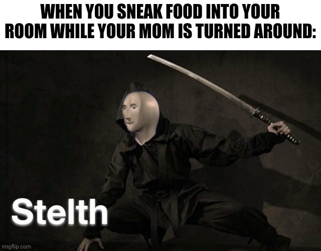 Stelth | WHEN YOU SNEAK FOOD INTO YOUR ROOM WHILE YOUR MOM IS TURNED AROUND: | image tagged in stelth | made w/ Imgflip meme maker